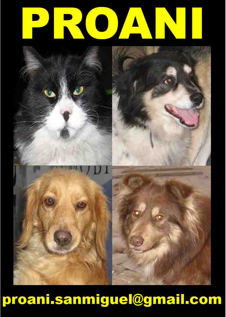 PROANI